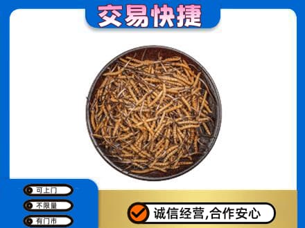 襄樊回收散虫草